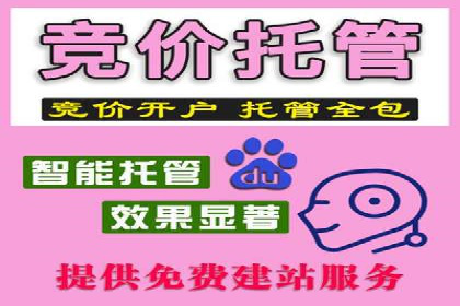 关键词竞价排名实战案例分析及优化